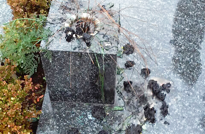  Vandali al cimitero domese, bruciati i fiori di una tomba