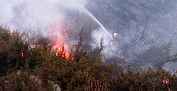 Pericoloso incendio nei boschi intorno alla Gomba, intervengono Vigili del fuoco ed Aib
