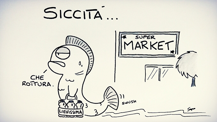 L'ironia di Sapo nella vignetta sulla siccità