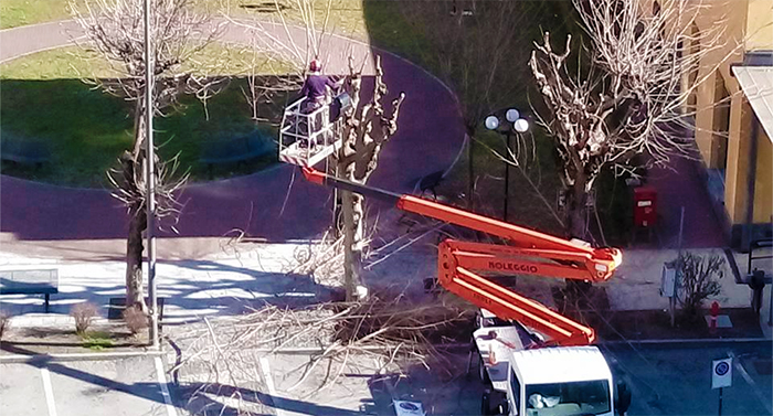 Villa potatura degli alberi, spesa complessiva di quasi 9 mila euro