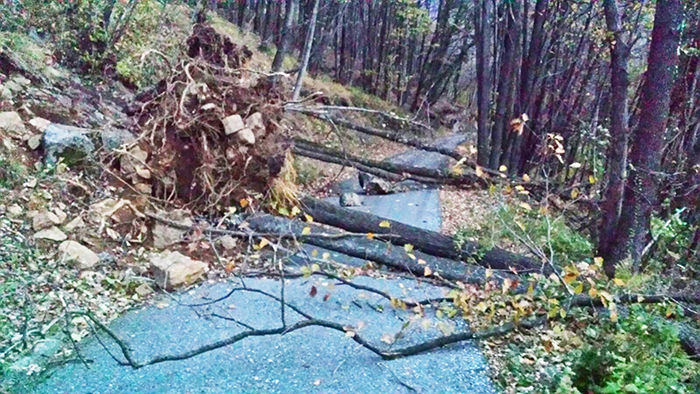 Forte vento: piante cadute, danni a tetti ed al comignolo della stazione ad Ornavasso