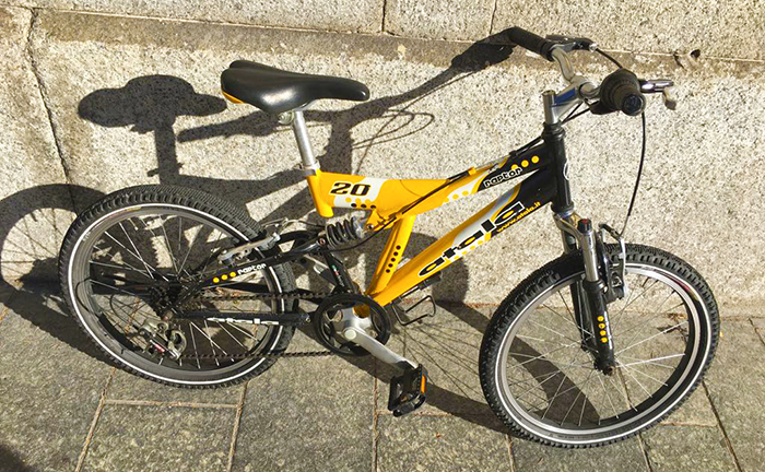 Una bambino di nuovo felice. Gli avevano rubato la bici, la ritrova su facebook