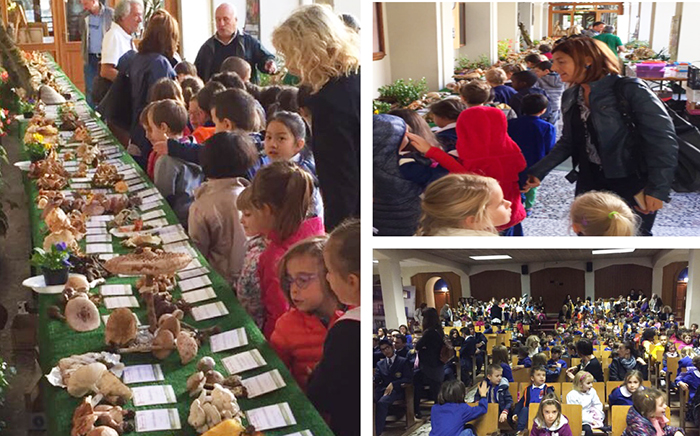Mostra ortofrutticola di "Slow food Valle Ossola" al Rosmini. Video