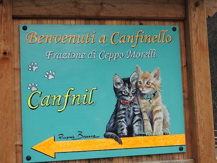 Valle Anzasca: i gatti di Canfinello danno il benvenuto ai visitatori della frazione  