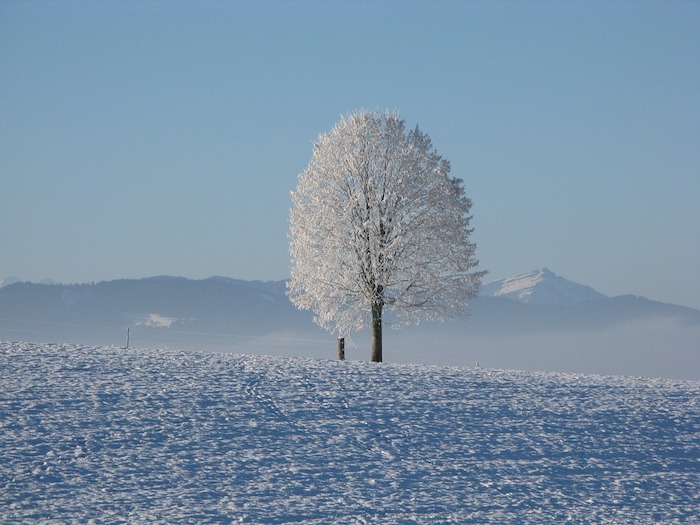 Benvenuto inverno! 