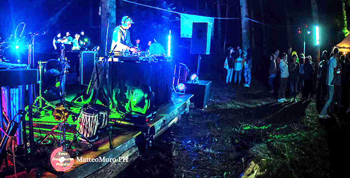 La foresta che suona: torna nella pineta in Vigezzo “Deep in the tree”