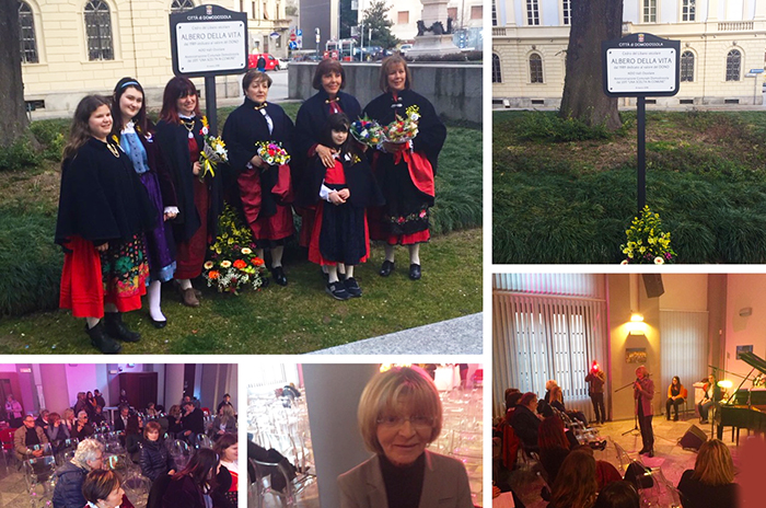 La targa di "Albero della Vita" al cedro di piazza Rovereto per la Festa della donna