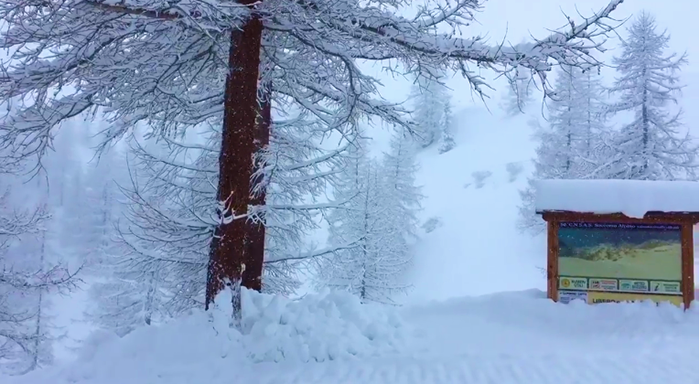 Super nevicata al Belvedere, 60 cm in 24 ore. Pasqua e lunedì col sole