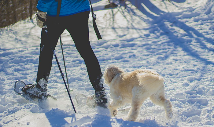 Tutti gli eventi del fine settimana in Ossola
