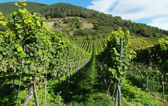 In attesa della primavera Pier Franco Midali ci parla delle nuove leggi per la montagna
