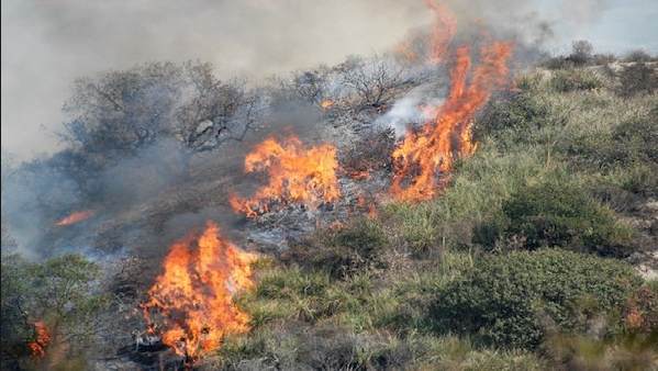 Schermata 2019 02 23 alle 10.21.31