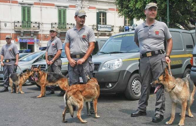 Aumentano gli interventi della Guardia di Finanza sui treni, fermate 11 persone per droga
