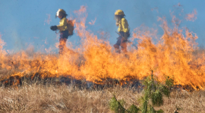  Dalla Prefettura l'invito ai sindaci di vietare i botti per paura di incendi