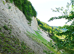 corta frana montagna