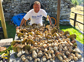 corta funghi sartoretti