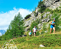 corta la veia bognanco