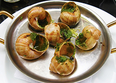 corta lumache piatto