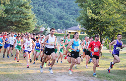 corta rumianca corsa pieve