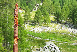 corta storno totem albero