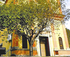 corta Chiesa di Crosiggia