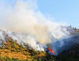 corta incendio bosco prato fumo
