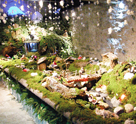 corta presepi acqua crodo