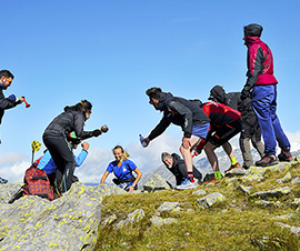 corta veja donna cima