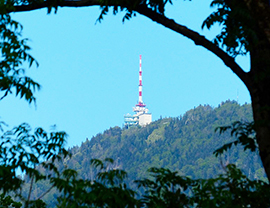corta antenna montagna