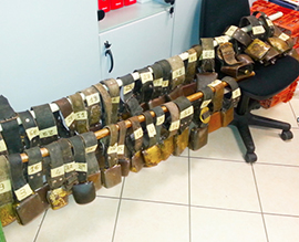 corta campanacci pecore