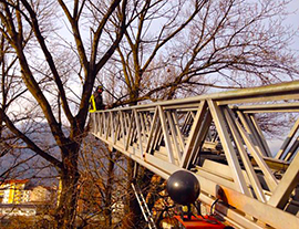 corta vigili fuoco alberi scala