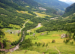 corta Val Cairasca Nembro