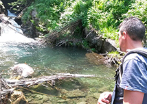 corta cerva morta bognanco
