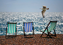 corta estate ombrelloni mare gabbiano
