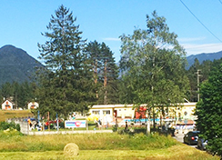 corta piscina vigezzo