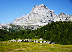 270.veglia monte leone