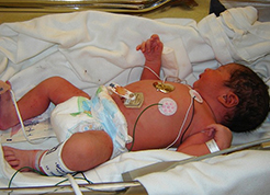 corta bebe pannolino culla