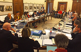 corta consiglio comunale domo