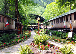 corta croveo trenini bimbi vagoni esterno