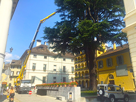 corta lavori luminarie albero cometa natale