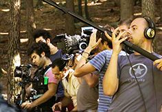 corta riprese pineta