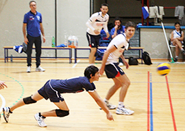 corta volley tuffo bistrot