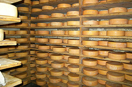 corta bettelmatt stagionatura