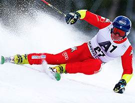 corta blardone paletto