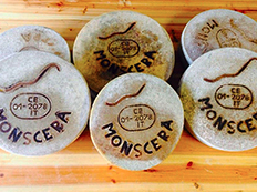 corta monscera formaggi