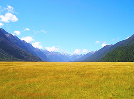 corta montagna solitudine