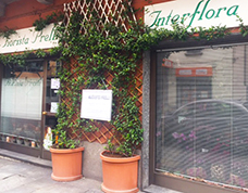 corta prelli negozio