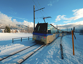 corta treno vigezzina neve