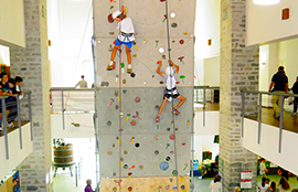 270.crodo scalata indoor