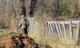 corta cacciatore mimetica fucile