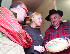 corta raspelli cheggio antrona